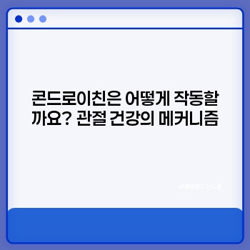 17229646de5544bb80fd8411c7262060.jpg