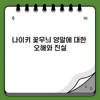 c95a3c85504321afd44dc80125f3a4a4.jpg