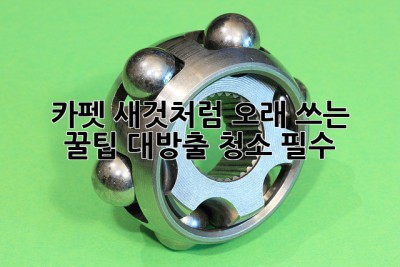 🏡✨ 카펫, 새것처럼 오래 쓰는 꿀팁 대방출! (청소 필수!)