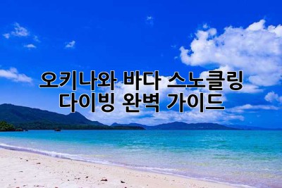 오키나와 바다, 스노클링 & 다이빙 완벽 가이드
