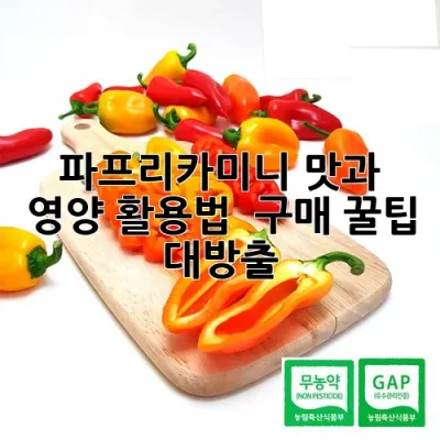 파프리카미니: 맛과 영양, 활용법 & 구매 꿀팁 대방출!