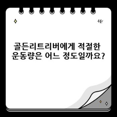 골든리트리버 건강 관리 완벽 가이드: 수명 연장과 행복한 삶을 위한 모든 것