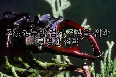 자궁경부암 검사: 건강을 위한 현명한 선택
