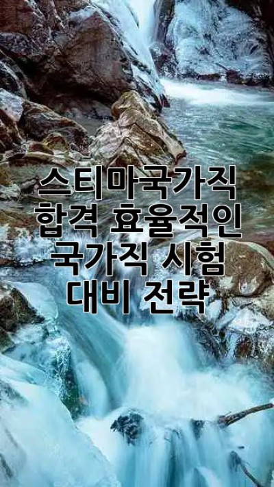 스티마국가직 합격🚀: 효율적인 국가직 시험 대비 전략💯