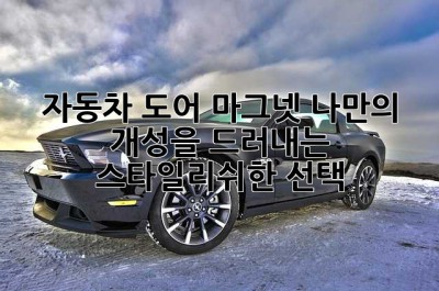 자동차 도어 마그넷: 나만의 개성을 드러내는 스타일리쉬한 선택!