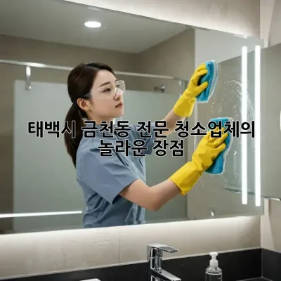 태백시 금천동 전문 청소업체의 놀라운 장점!