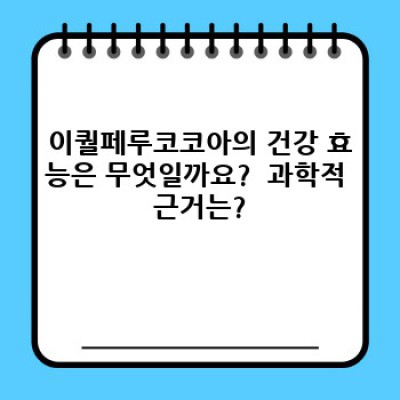 이퀄페루코코아 완벽 가이드: 맛, 효능, 구매 가이드까지!
