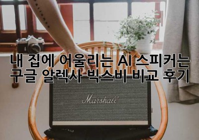 내 집에 어울리는 AI 스피커는? 구글, 알렉사, 빅스비 비교 후기!