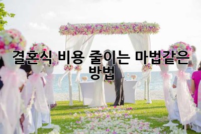 결혼식 비용 줄이는 마법같은 방법!
