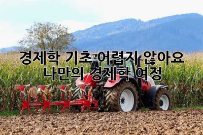 경제학 기초, 어렵지 않아요! 🧐  나만의 경제학 여정