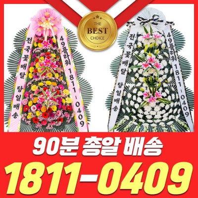 개업 화환 & 근조 화환 할인 특가 정보! 💐