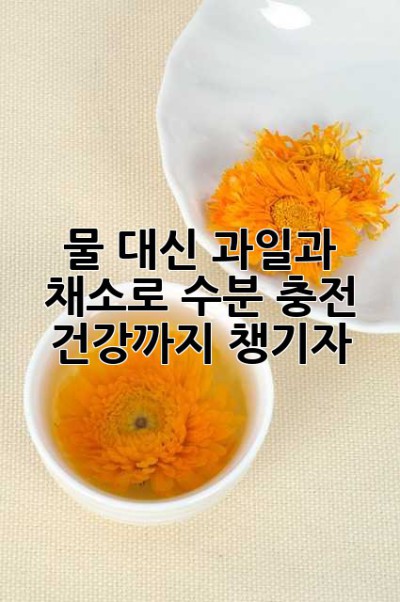 물 대신? 과일과 채소로 수분 충전! 건강까지 챙기자!
