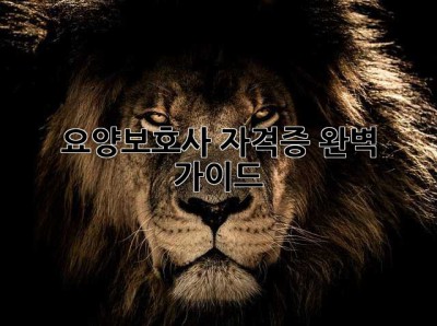 요양보호사 자격증 완벽 가이드