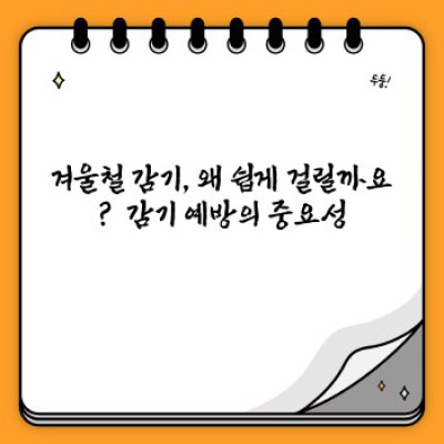 겨울철 감기, 이제 걱정 끝!  면역력 강화 최고의 겨울철 감기 예방 식품 완벽 가이드