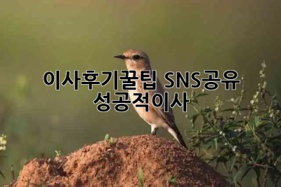 이사후기꿀팁🍯 #SNS공유 #성공적이사