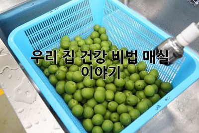 우리 집 건강 비법, 매실 이야기 ✨