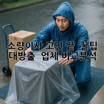 소량이사 고민 끝! 📦 꿀팁 대방출 & 업체 비교분석 💯
