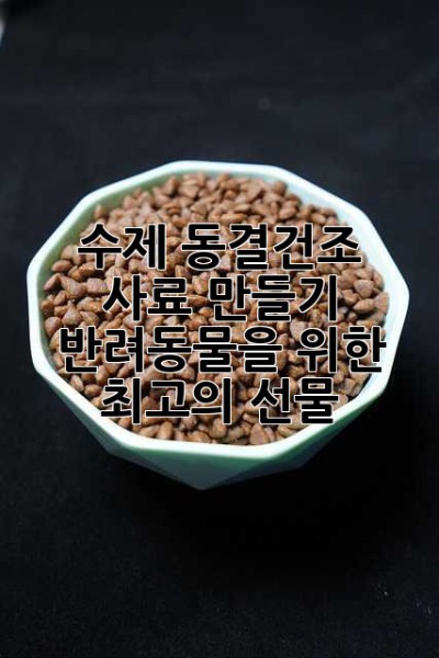 수제 동결건조 사료 만들기: 반려동물을 위한 최고의 선물🎁