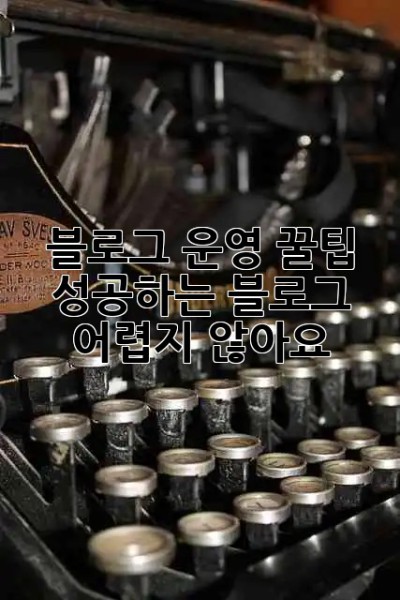 블로그 운영 꿀팁🍯 성공하는 블로그, 어렵지 않아요!