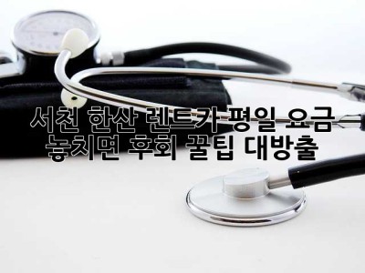 🚗 서천 한산 렌트카 평일 요금, 놓치면 후회! 꿀팁 대방출 🍯