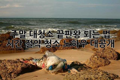주말 대청소 끝판왕 되는 법! ✨ 시간 절약 청소 노하우 대공개