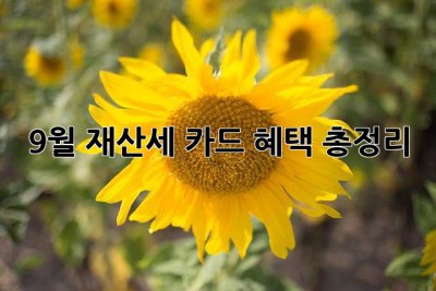 9월 재산세 카드 혜택 총정리!