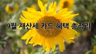 9월 재산세 카드 혜택 총정리!
