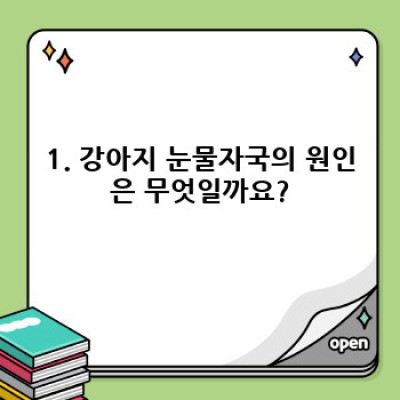 강아지 눈물자국 원인과 해결 방법: 종류별 관리법 총정리!