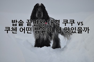 밥솥 끝판왕 대결! 쿠쿠 vs 쿠첸, 어떤 밥솥이 더 맛있을까? 🤔