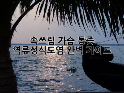 속쓰림, 가슴 통증? 역류성식도염 완벽 가이드!
