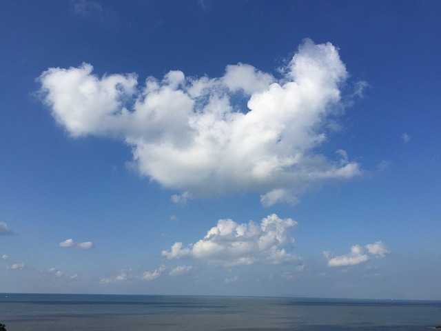 이재명관련주테마주006.jpg