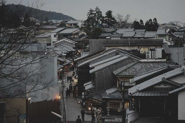 쪽집게일본001.jpg